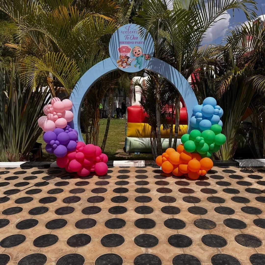 Themed Balloon Entrance Arch for Hire — Birthdays & Home Events in Nairobi - view 8