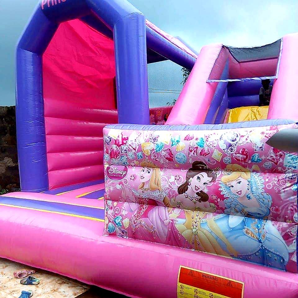 Disney Princess Jumping Castle for Hire in Nairobi - view 2