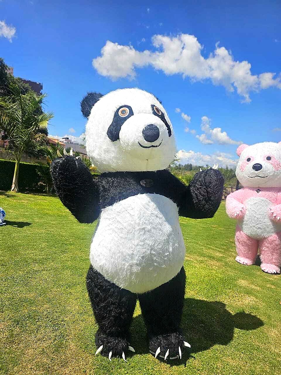 Mascots for Hire in Nairobi - view 4