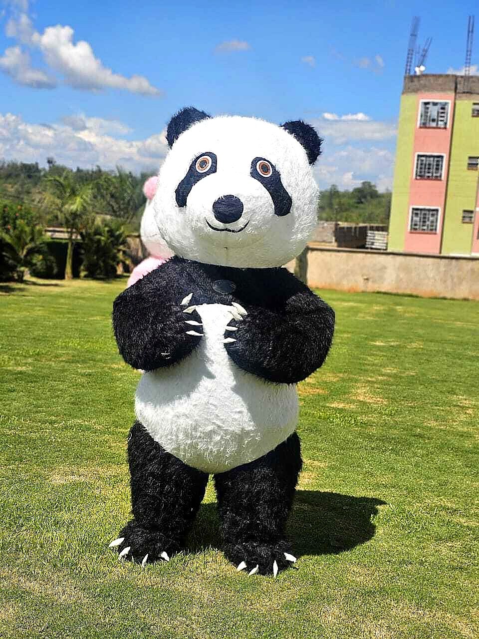 Mascots for Hire in Nairobi - view 5