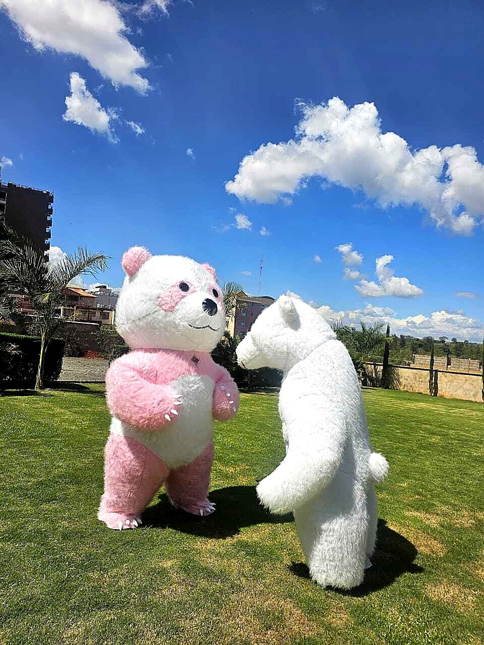Mascots for Hire in Nairobi - view 6
