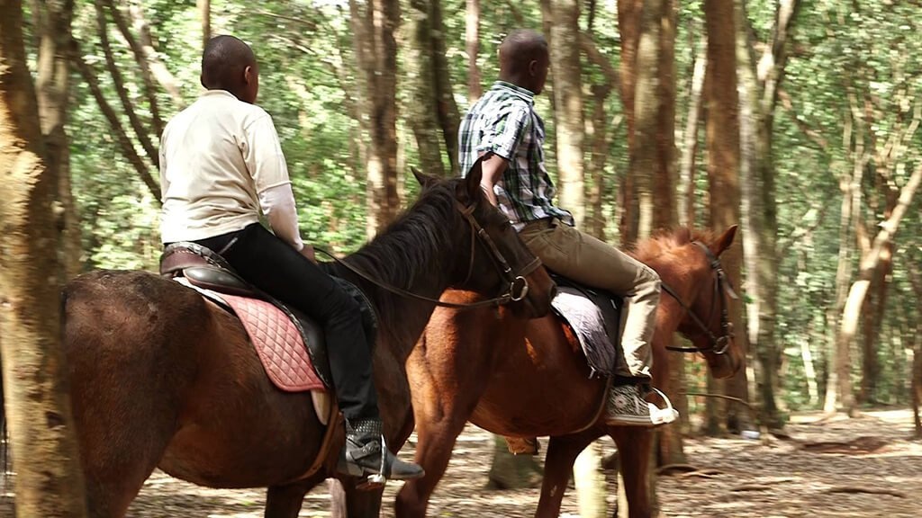 Horse Riding Experience for Hire &mdash; corporate event item for hire in Nairobi