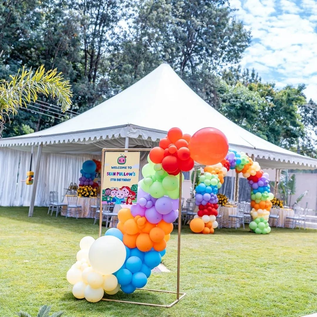 The Ultimate Kids Birthday Party Decorations - 100 Guests — view 12