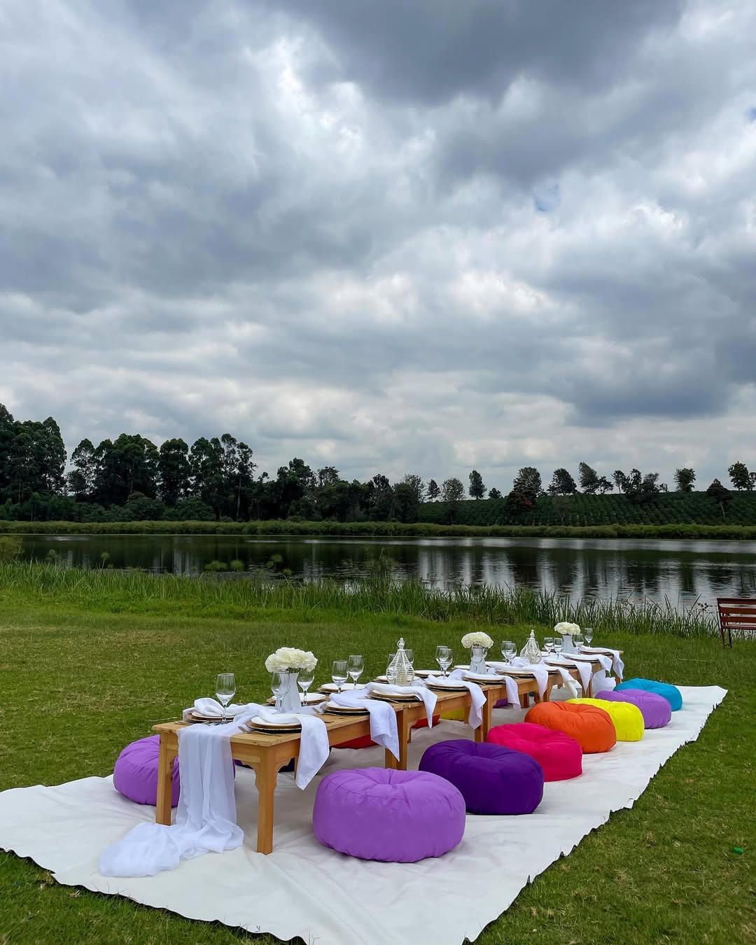 The All-Star Arena Outdoor Kids Picnic Setup - 15 Kids kids picnic party setup in nairobi