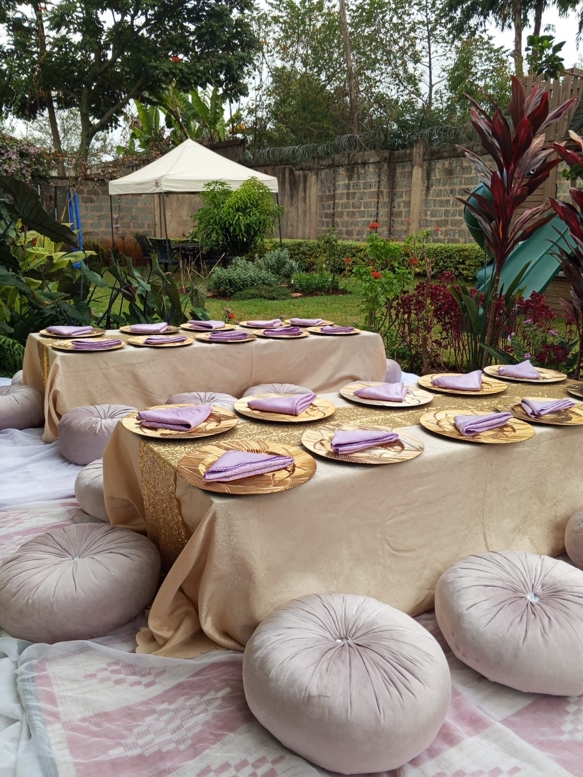 The Platinum Premiere Luxury Pallets & Pillows Kids Picnic Party - 25 Kids in Nairobi - view 4