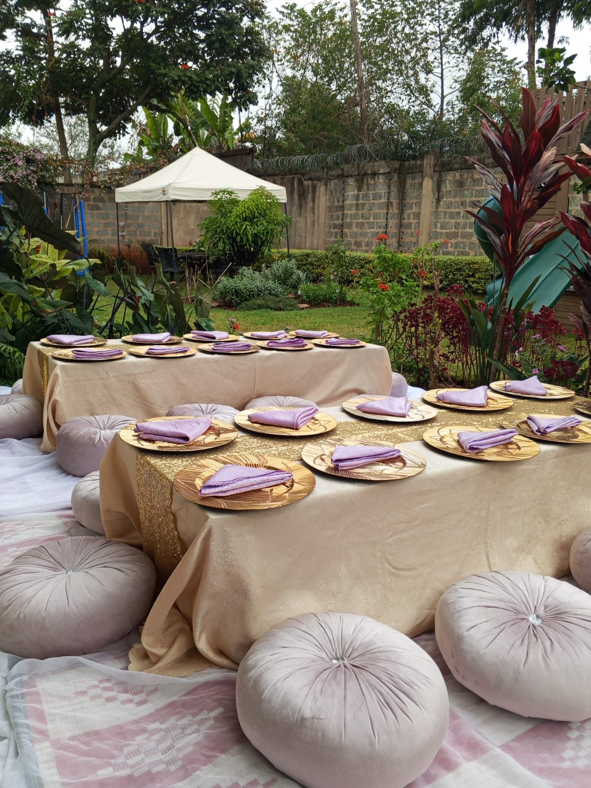 Outdoor Adults Picnic Party Package Hire – 30 Guests (The Grand Nature Takeover) — view 4