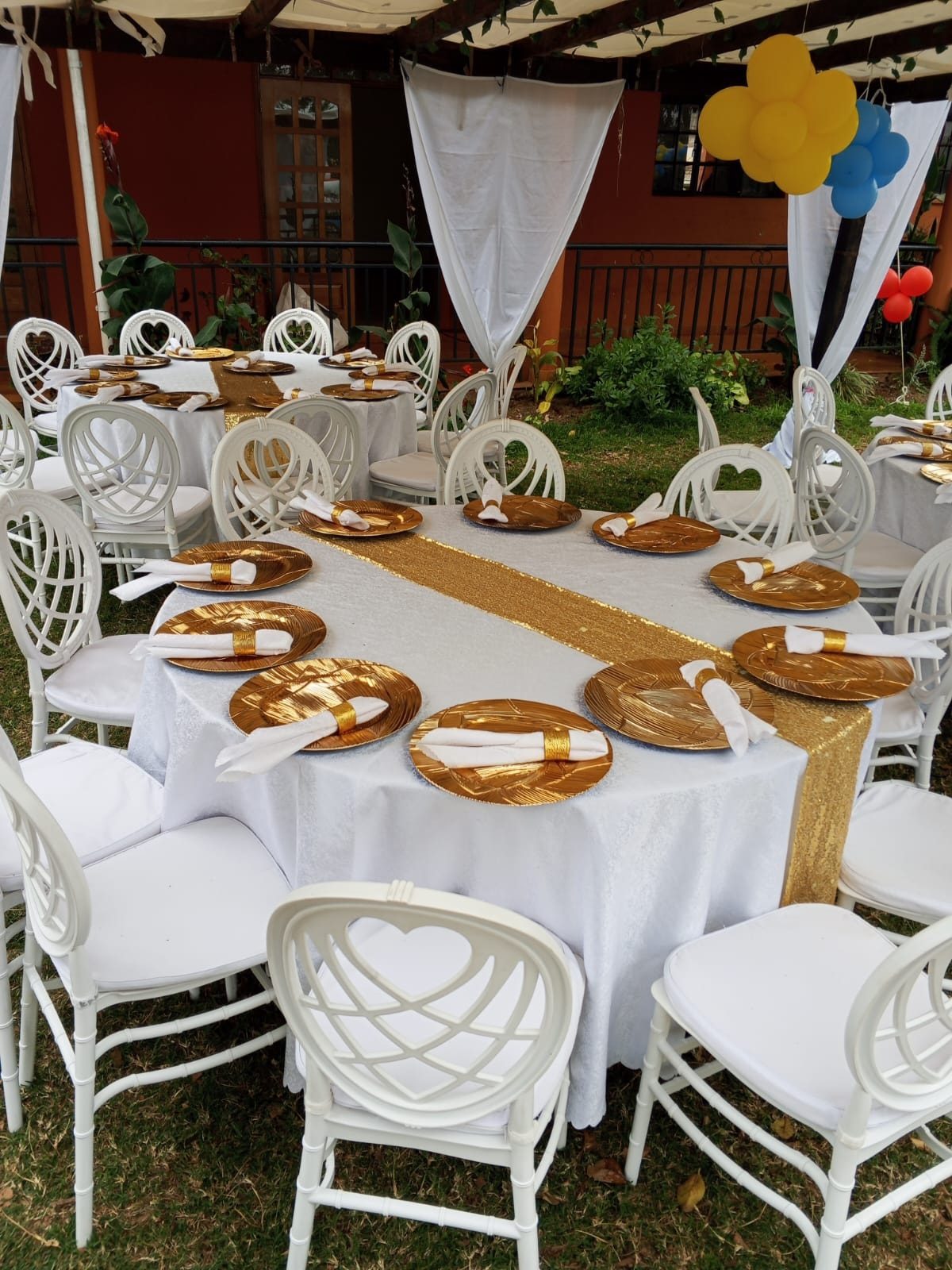 Adults Themed Party Package Hire - 30 Guests for hire in Nairobi - view 2