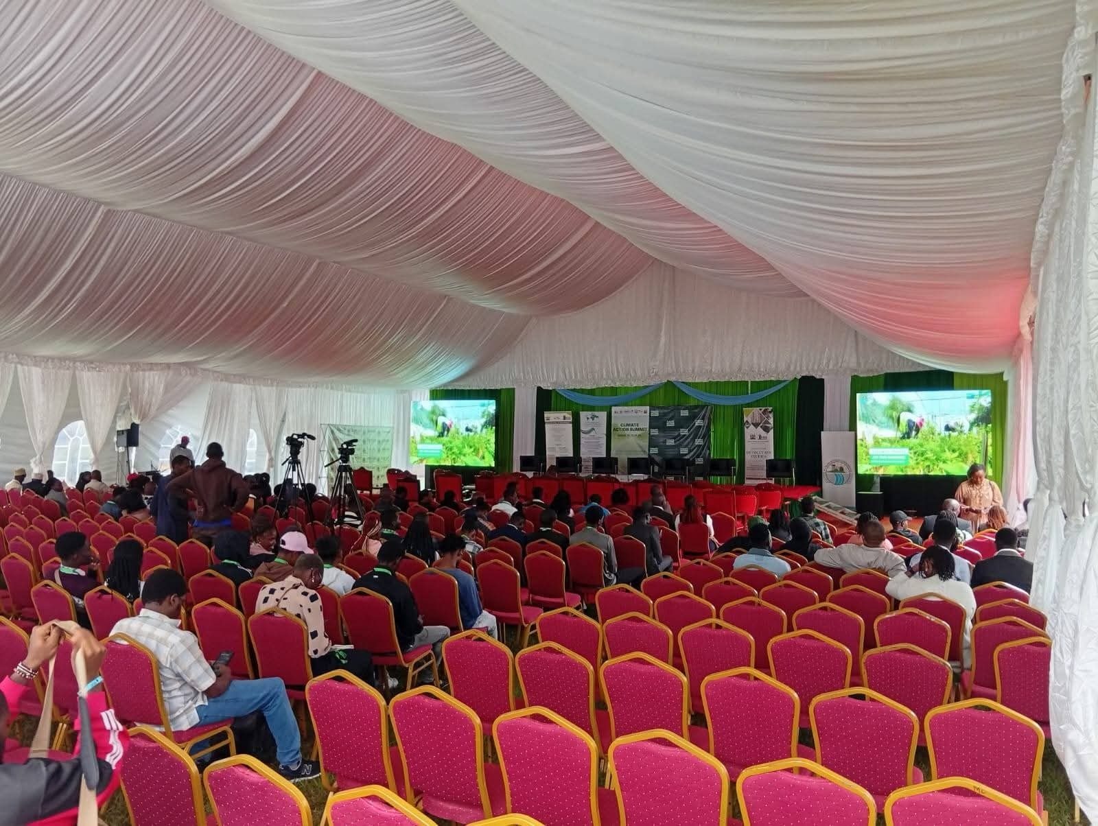 Banquet Chairs for Hire in Nairobi - view 6