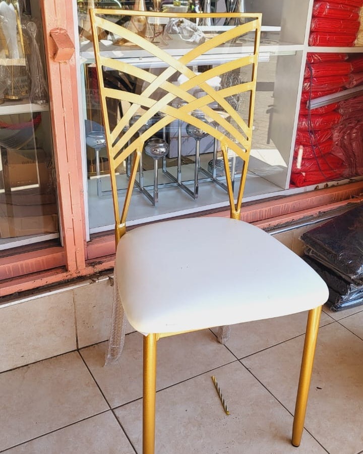 Chameleon Chairs for Hire in Nairobi - view 3