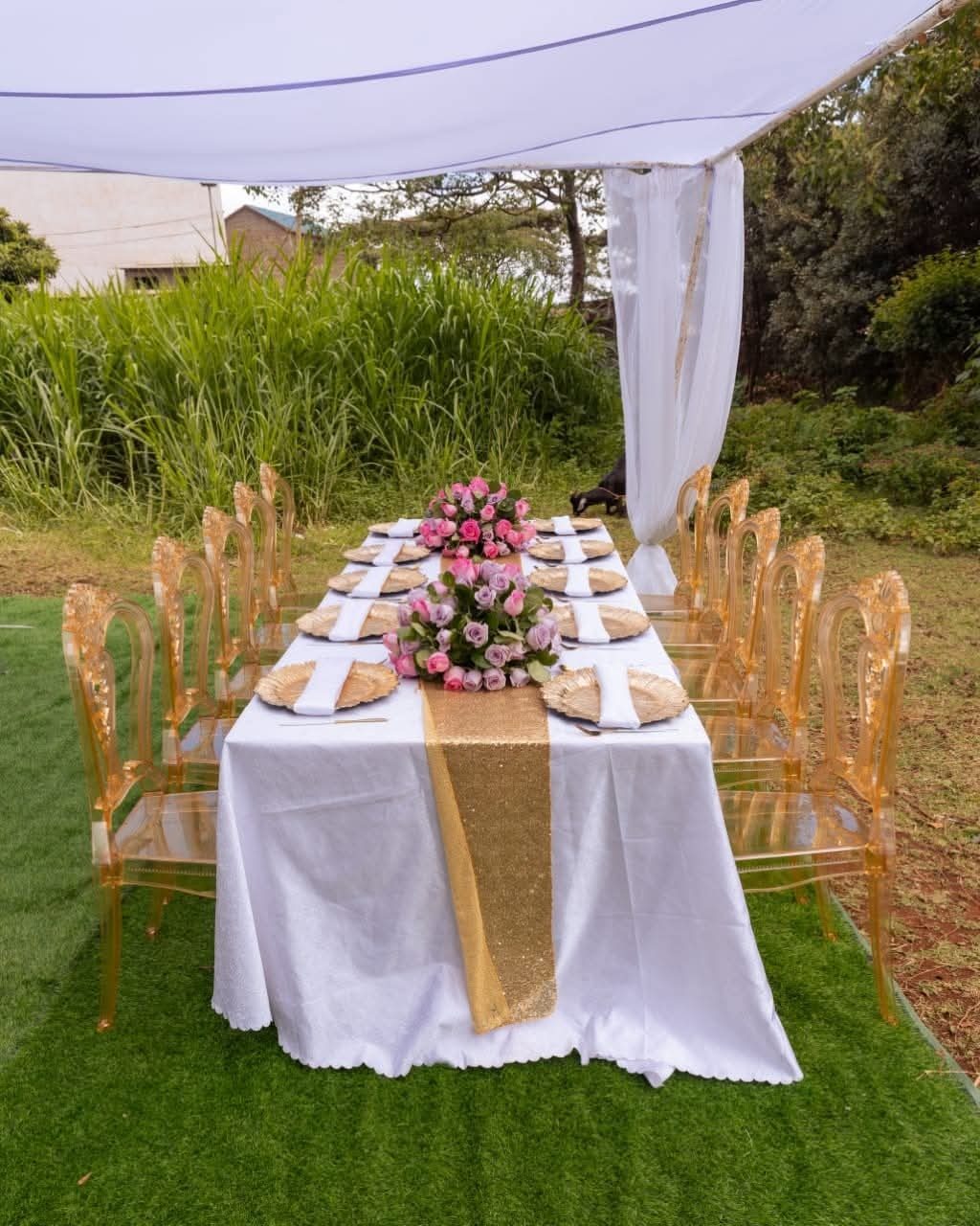 Gold Ghost Chairs for Hire in Nairobi - view 3