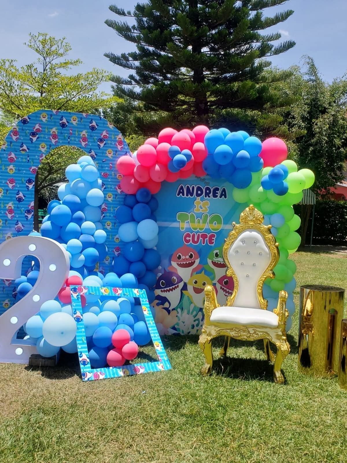 Throne Chairs for Hire in Nairobi - view 5