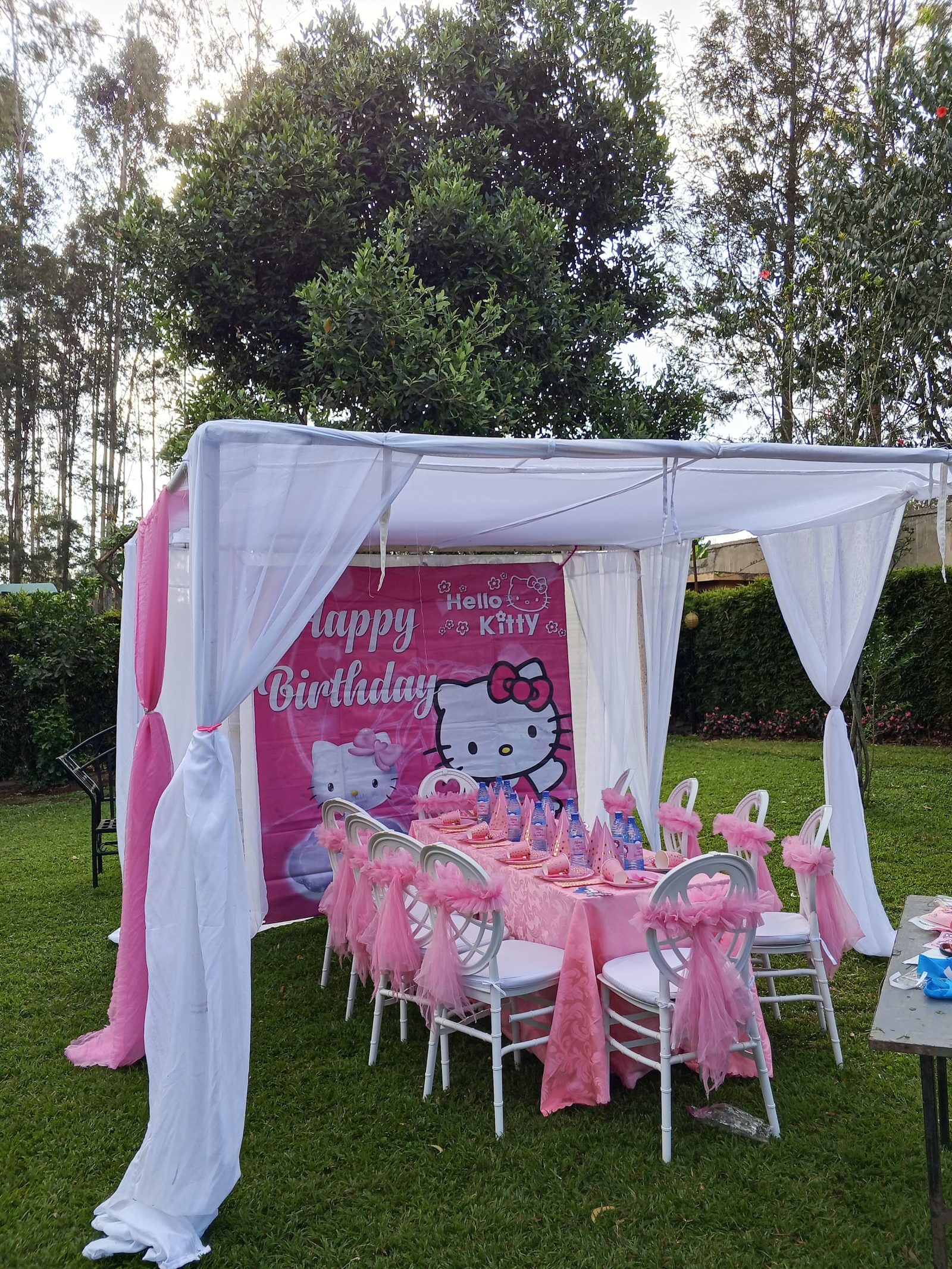 Canopy Tent 3x3m for Hire in Nairobi